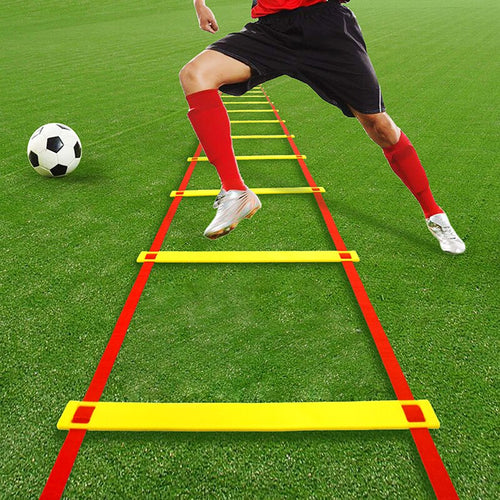 Agility Training Ladder