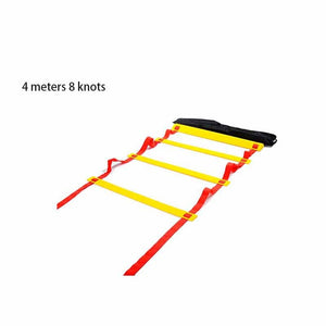 Agility Training Ladder